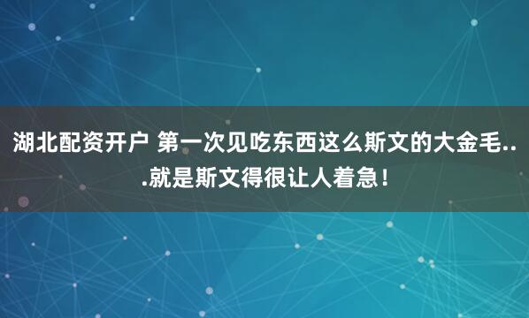 湖北配资开户 第一次见吃东西这么斯文的大金毛...就是斯文得很让人着急！