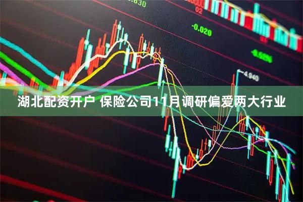 湖北配资开户 保险公司11月调研偏爱两大行业