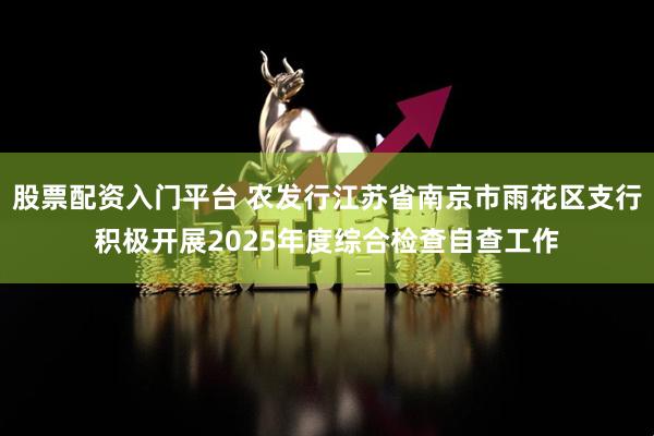 股票配资入门平台 农发行江苏省南京市雨花区支行积极开展2025年度综合检查自查工作