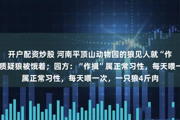 开户配资炒股 河南平顶山动物园的狼见人就“作揖”讨吃的，游客质疑狼被饿着；园方：“作揖”属正常习性，每天喂一次，一只狼4斤肉